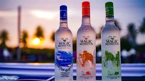 The True Cost of Magic Moments Vodka: Factoring in Production and Marketing Expenses